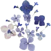 🌸