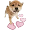 🌟