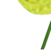 ☘️
