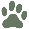 🐶