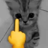 🖕
