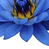 💙