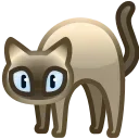 🐈‍⬛