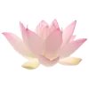 🌸