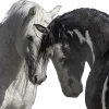🐴