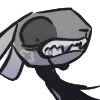 🦈