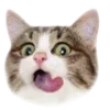 😛