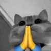 🙏
