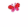 🦋