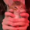 🐈‍⬛