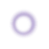 🟣