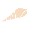 🐚