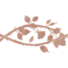 ⬜️