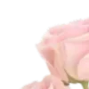 🌸
