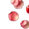 🍒
