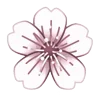 🌸