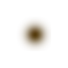 🟤