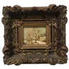 🖼