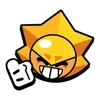 🌟