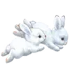 🐰