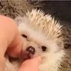 ☺️