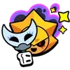 🌟