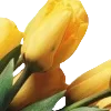 💐