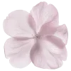 🌸