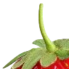 🍓