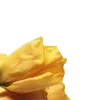 💐