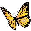 🦋