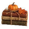 🍂