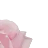 🌸