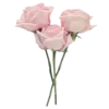 🌸