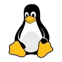 💻