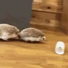 ☺️