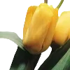 💐