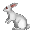 🐇