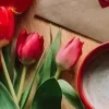🍒
