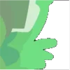 🍵
