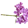 💜