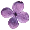 💜