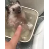 ☺️