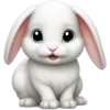🐰