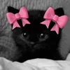 🎀