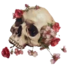 ☠