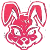 🐰
