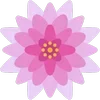 🌺