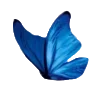 🕊️