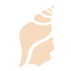 🐚